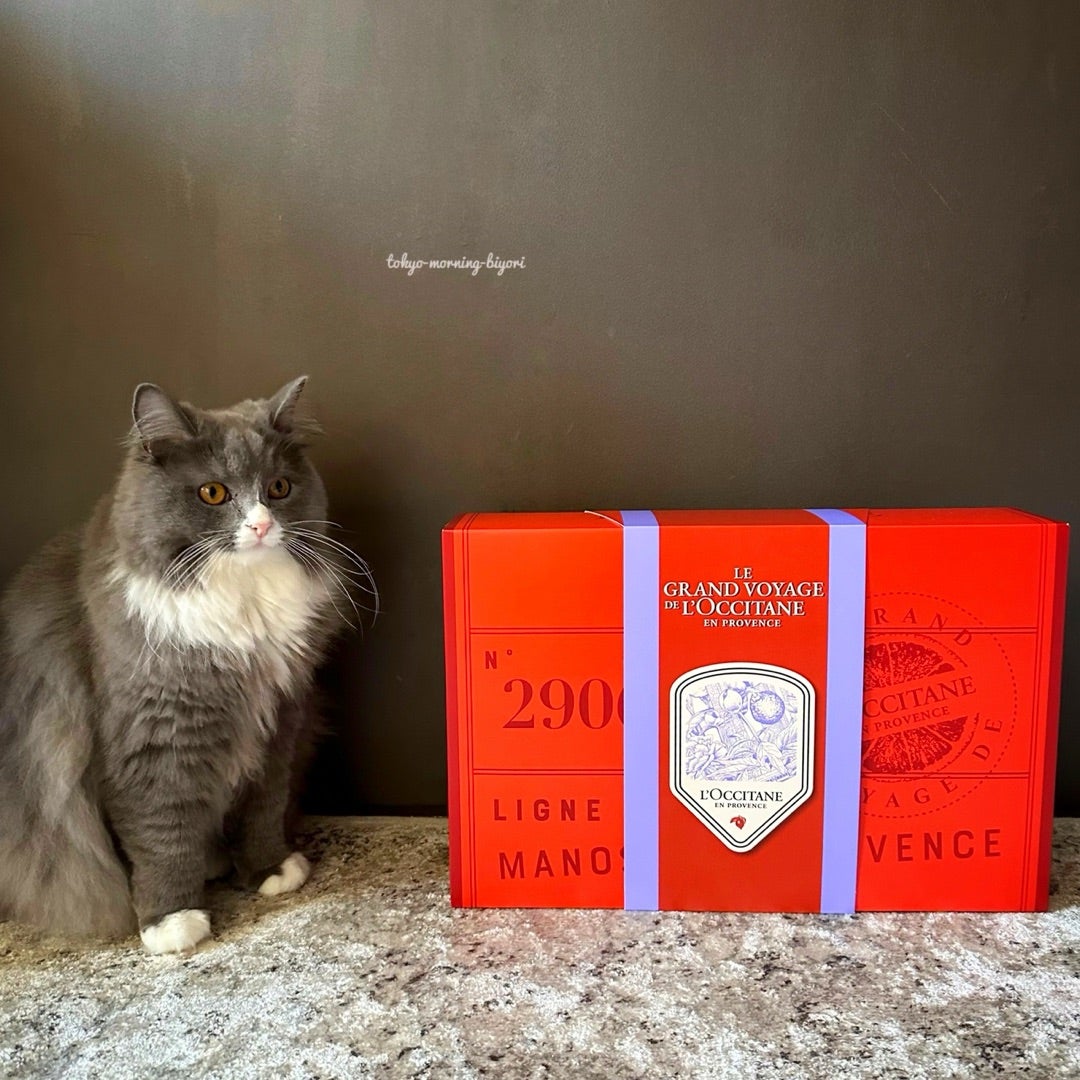 ロクシタンのアドベントカレンダー2024♪ | 東京モーニング日和