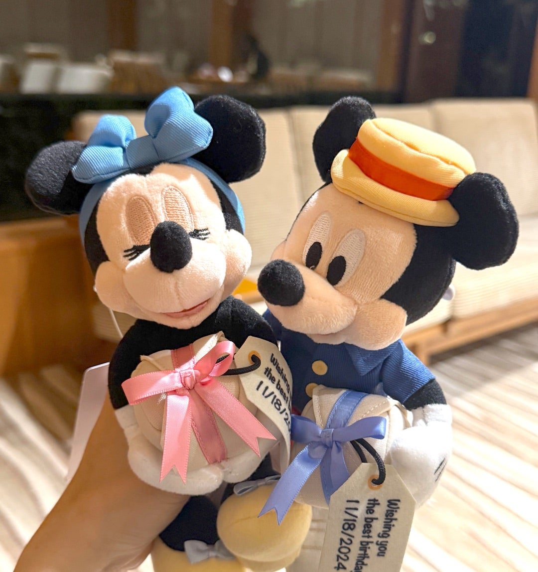 思わず一目惚れして購入しちゃったミッキーマウスとミニーマウスの