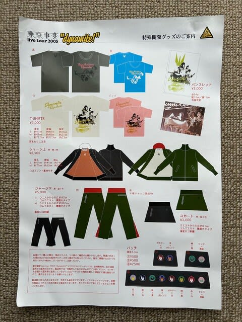 椎名林檎 2003～2006年」のチケット＆パンフレット＆フライヤー