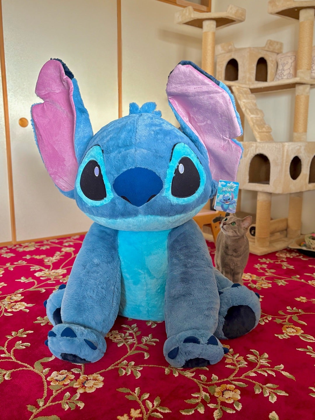 コストコで入手困難な特大スティッチ | 満花今日