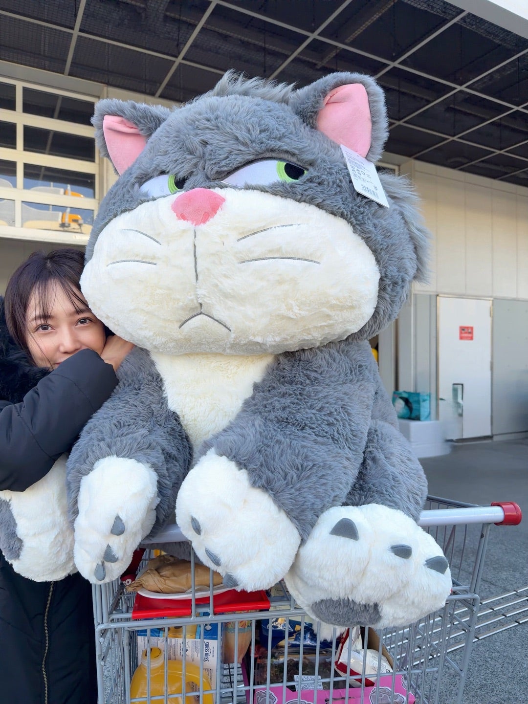 コストコで一目惚れしました♡ | 川崎希オフィシャルブログ「のぞふぃ