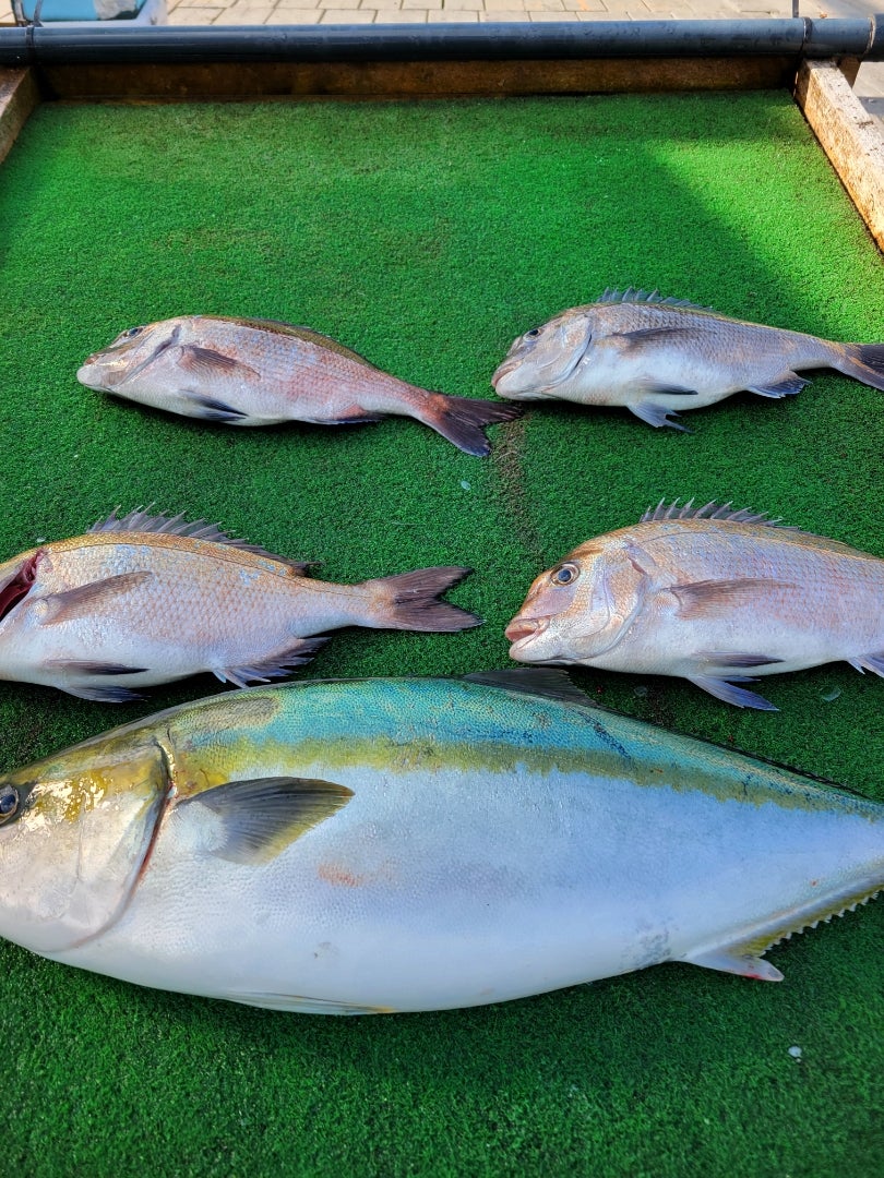 海恵セット大好評！！！ | 釣り堀 海恵 社長