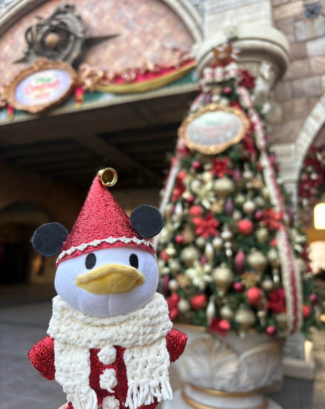 半年ぶりのディズニー旅行記☆ジャスミンのSPサイン＆フリグリ祭り