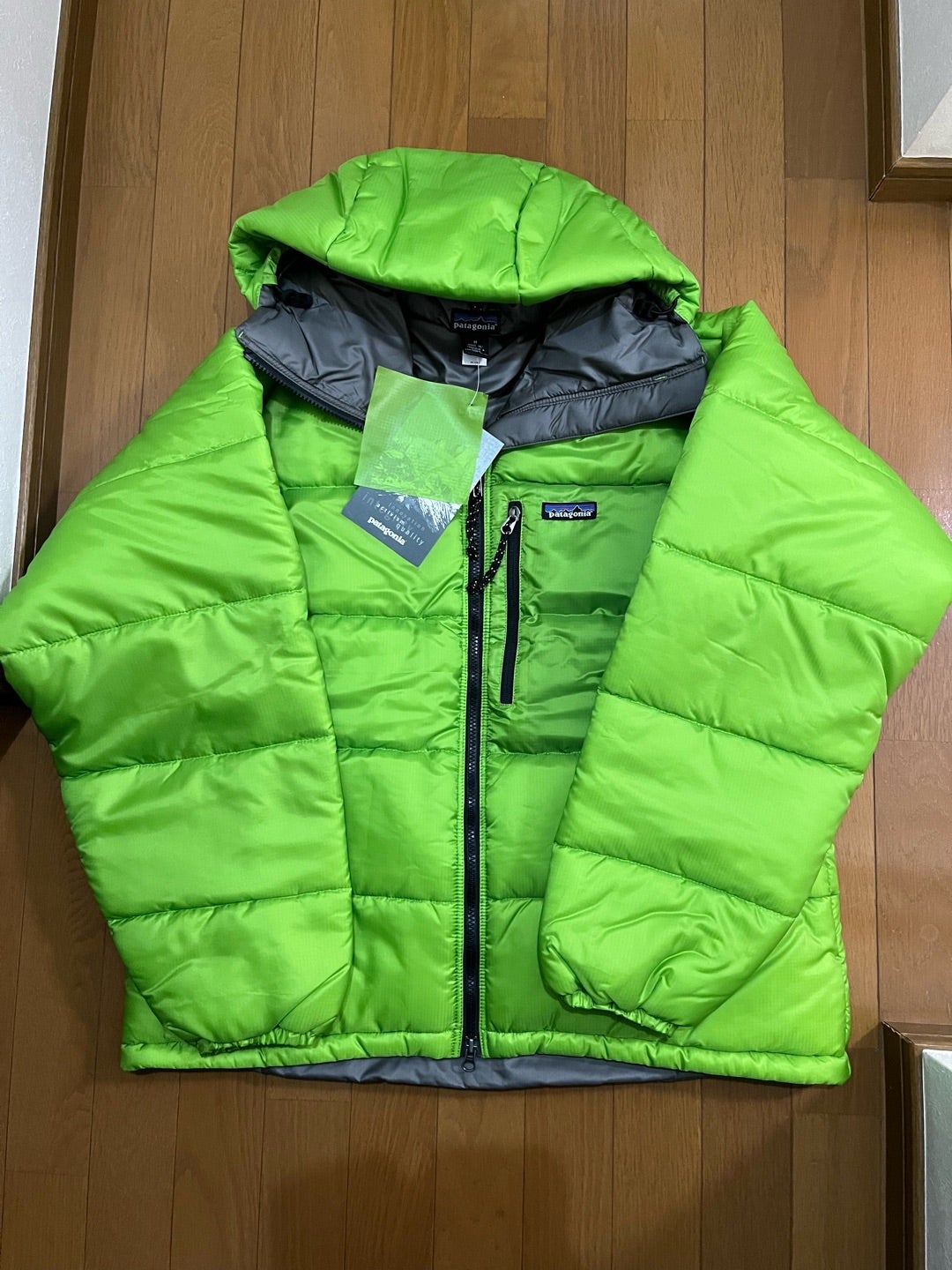 patagonia DASPARKA ゲッコーグリーン | アメカジオヤジの四方山話。