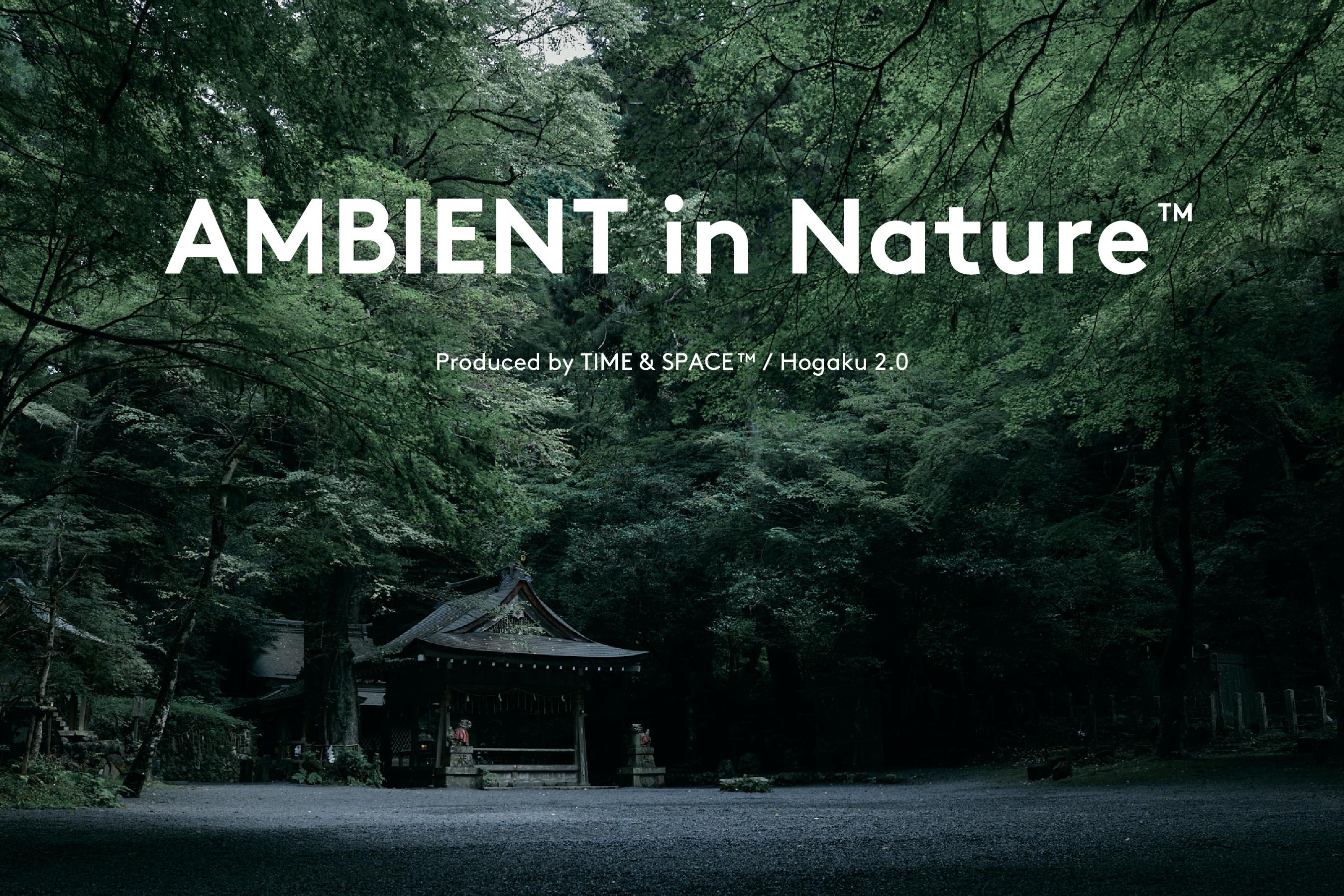 夜の大自然×日本の音色×アンビエント音楽』京都・貴船神社にて特別LIVE