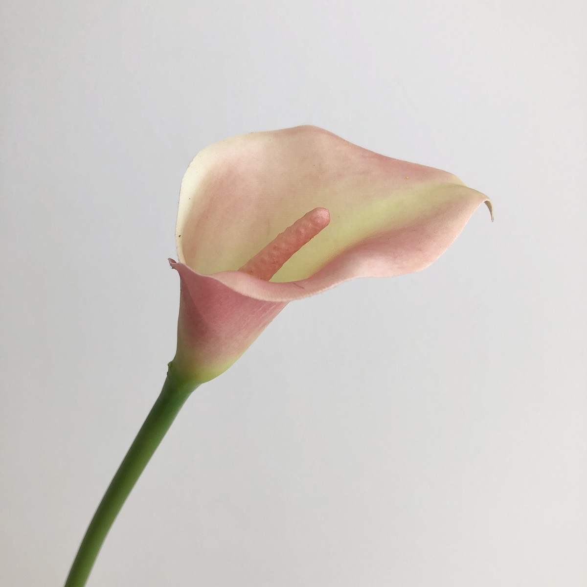 即日☆【造花】アスカ/カラーリリィ ピーチグリーン/A-35157-4G - 花材