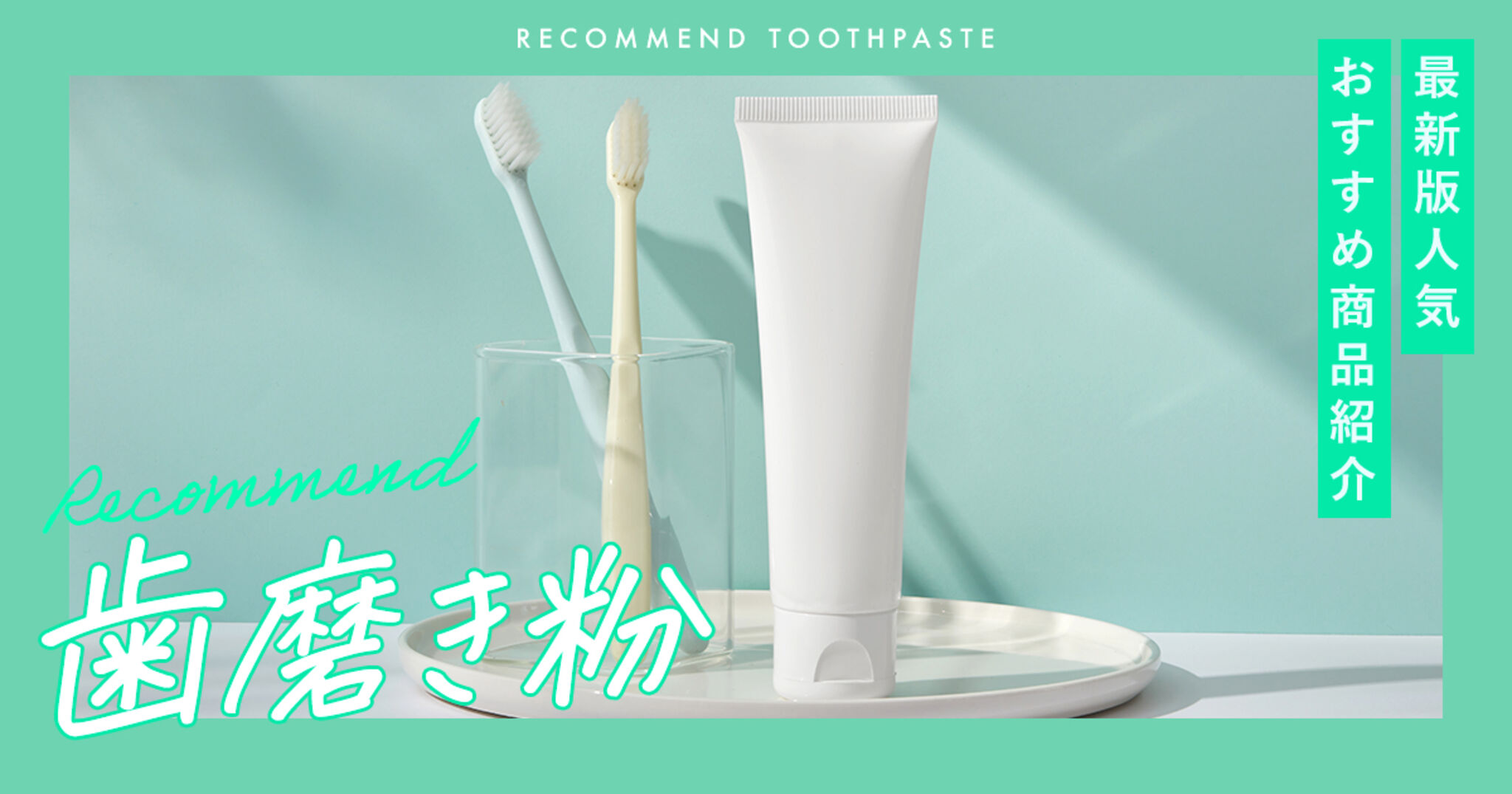 磨ける・伝わるブラッシング指導 もくじ 確認用 磨ける・伝わる