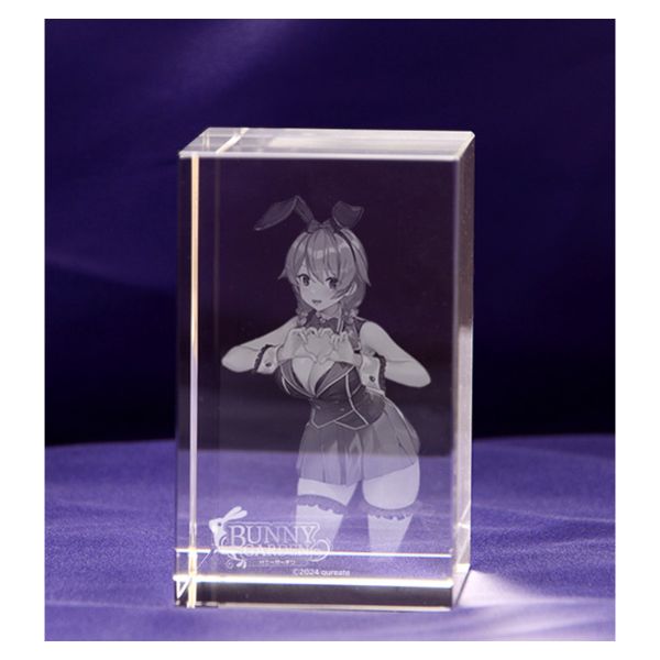 ゲーム: バニーガーデン 入店セット ファミ通DXパック(花奈VIPルーム