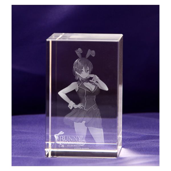 ゲーム: バニーガーデン 入店セット ファミ通DXパック(美羽香VIPルーム