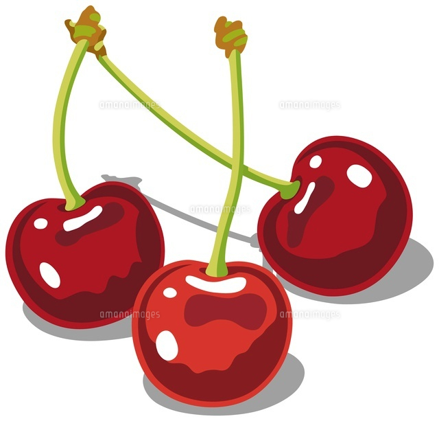 アメリカンチェリー[11002059421]の写真・イラスト素材｜アマナイメージズ