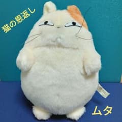 m16179389313_1.jpg?1745579984