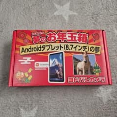 m12853449193_1.jpg?1767055042