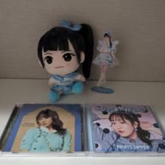 FRUITSZIPPER 真中まな ぬいぐるみ CD アクリルスタンド セット - メルカリ