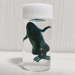 m24389719841_1.jpg?1749515279