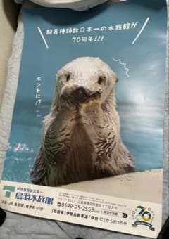 m27563741652_1.jpg?1744531704