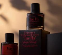 枯れた花に涙を TearsonaWitheredFlower 'Tae Ha' - メルカリ