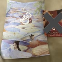 ダメージ有り・当時物】嵐 デビューシングル A・RA・SHI 特典B1