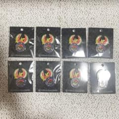 ポケモンセンターキョウト 限定 ロゴピンズ 8個セット - メルカリ