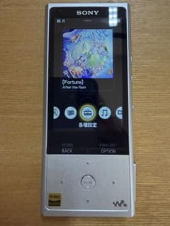 美品】SONY WALKMAN NW-ZX100 128GB ハイレゾ 箱あり - メルカリ