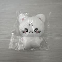 ENHYPEN ジョンウォン 10cmドール ぬいぐるみ - メルカリ