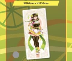 beatmaniaIIDX グッズキャンペーン 等身大タペストリー（リリナ