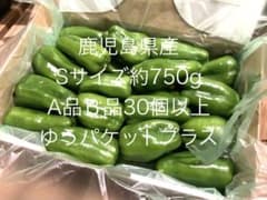 ⑧ Sサイズピーマン 約750g（Sサイズ）約30個以上A品 B品 - メルカリ