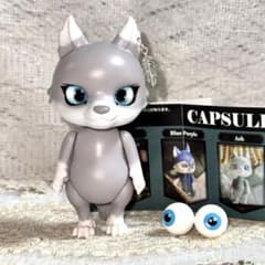 m49344705358_1.jpg?1756693605