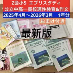 Z会 エブリスタディ 小5 公立中高一貫校適性検査 作文 1年分 問題集