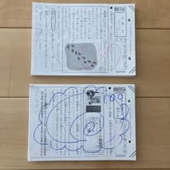 m40283594867_1.jpg?1726203213