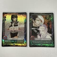 D.Gray-man トレーディングカード リナリー アレイスタークロウリー