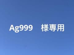 中国美術 4枚セット 文鎮 金属工芸 浮彫 刻印あり 厚重 コレクション