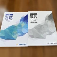 早稲田アカデミー 小6 算数 バックアップテキスト 解答集付き - メルカリ