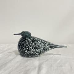 廃盤希少なイッタラバード オイバトイッカ 2012限定ミレッラ