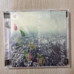 Saucy Dod 嘘月の雨の理由【廃盤】 CD - メルカリ