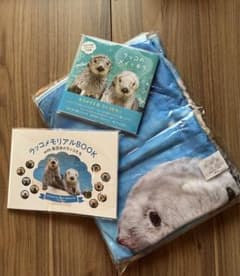 m50704543838_1.jpg?1719122354