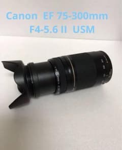 スポーツ＆イベント☆望遠レンズ☆キャノン Canon EF75-300㎜ - メルカリ