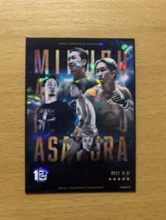 m66046717230_1.jpg?1766755118