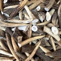 鹿角 10kg 短め DIY端材 - メルカリ