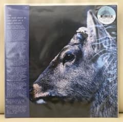 m60225405473_1.jpg?1728707480