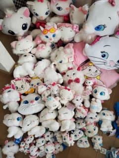 m60854317874_1.jpg?1719640063