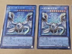 m77701263517_1.jpg?1759149826