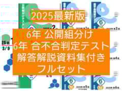 2025/最新版/公開組分けテスト+合不合判定テスト/6年生/自宅学習用