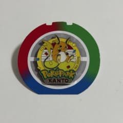 ポケモン ポケパーク カントー 限定 ピンバッジ ピンズ ライチュウ