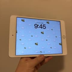 iPad mini 第5世代 256GB SIMフリー Type-C改造品 - メルカリ