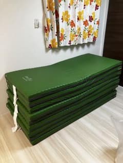 直接渡し限定】パラマウント エバーフリーマットレス 介護 リハビリ