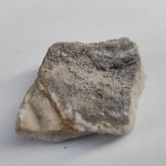 北投石 ラジウム hokutolite 秋田玉川温泉ラドン放射線がん治療 - メルカリ