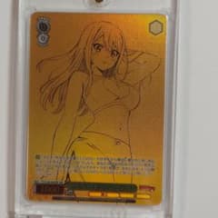 WS FAIRY TAIL SSP ルーシィ・SP グレイ・SP イグニアセット - メルカリ