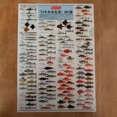 m82254112295_1.jpg?1724051736