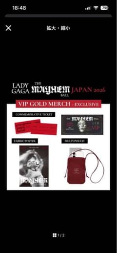 m*9様 Lady Gaga The Mayhem Ball VIP Gold - メルカリ