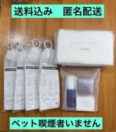 モイスティーヌ 洗顔セット 洗顔用泡立てネット 4個 コットン1個